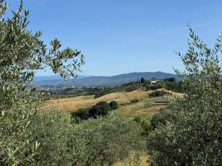 Vista