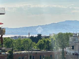 Vista