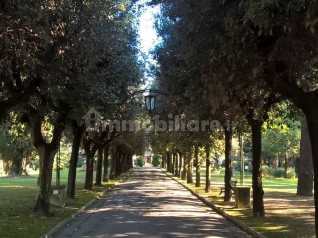 Ingresso