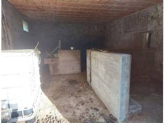 Cantina