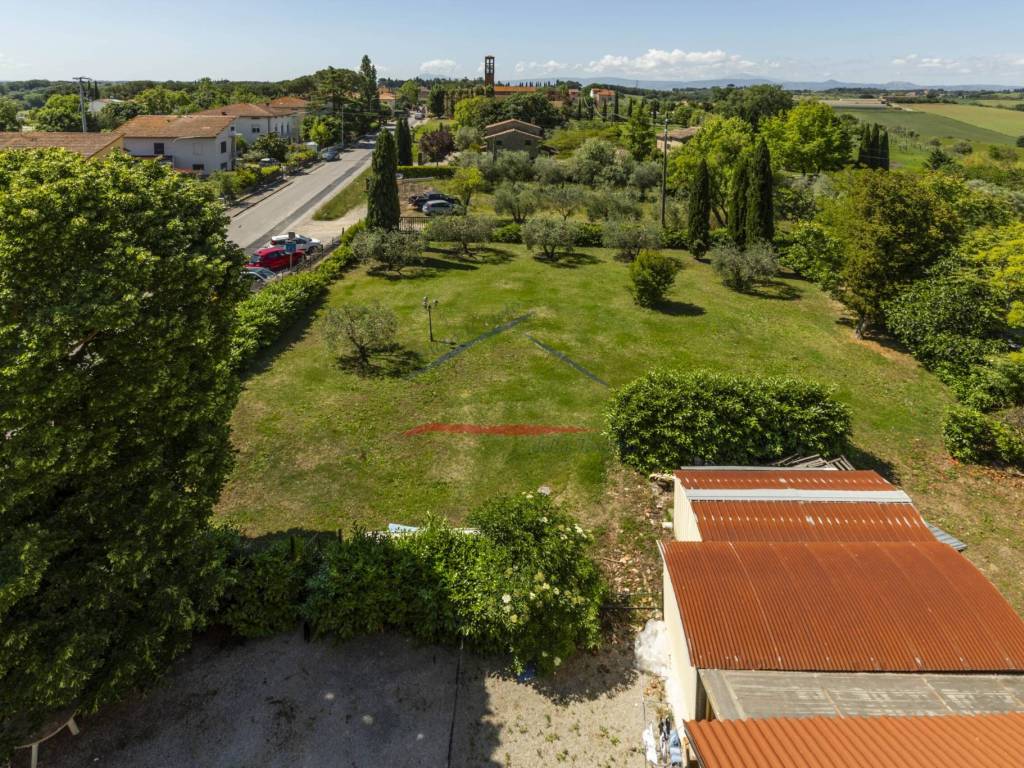 Vista