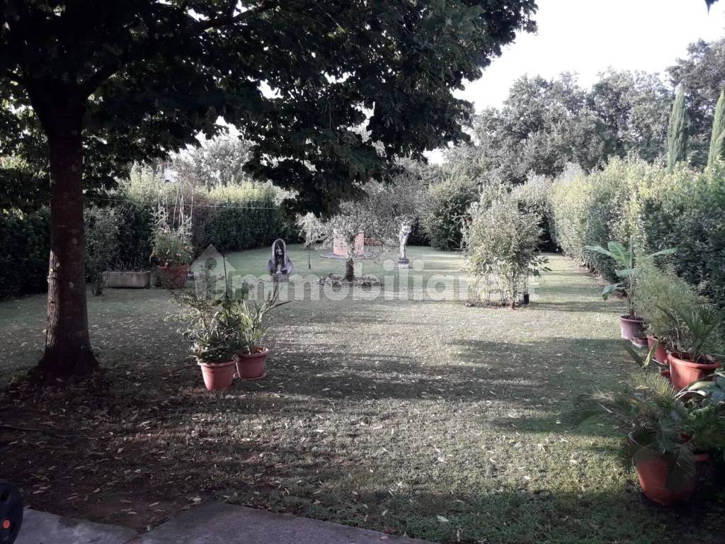 Giardino