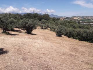Terreno