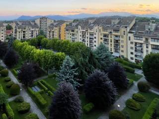 Vista