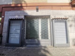 Ingresso