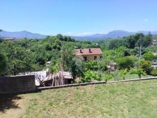 Vista