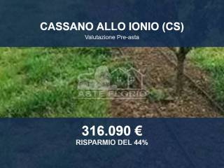 Altro