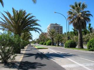 Zona
