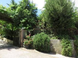 Ingresso