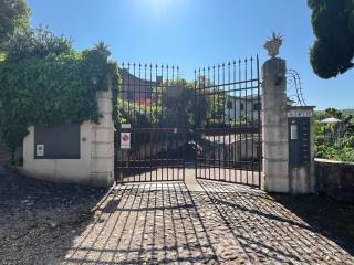 Ingresso