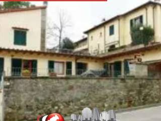 Zona