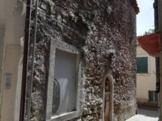 Zona