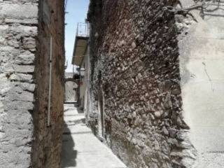 Zona