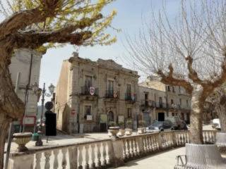 Zona