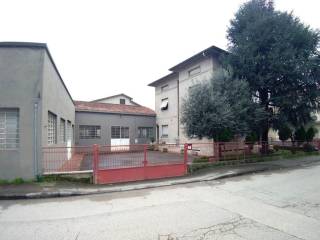 Zona