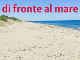 Zona