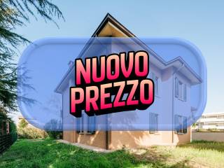 Zona