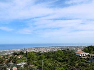 Vista