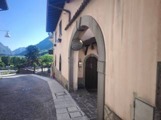 Zona