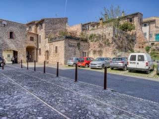 Zona