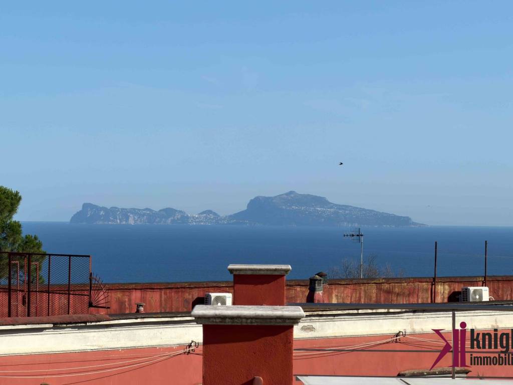Vista