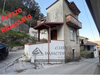 Zona