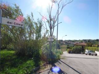 Zona