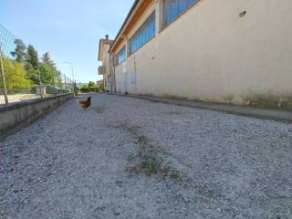 Zona