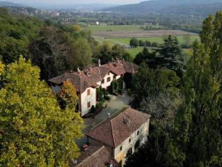 Vista