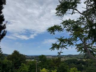 Vista