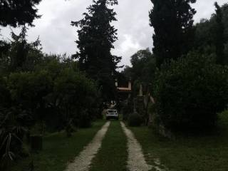 Zona