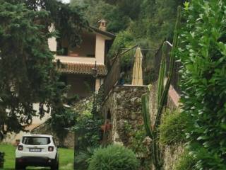 Zona