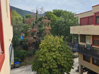 Vista