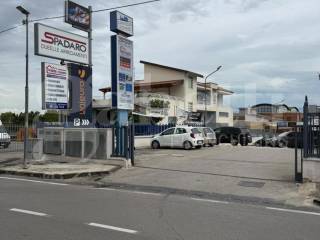 Zona