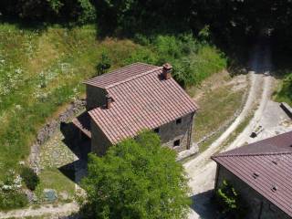 Vista