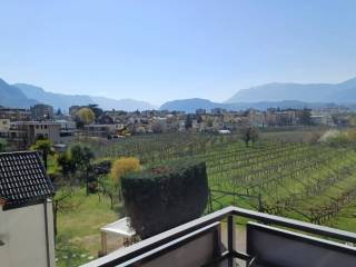 Vista