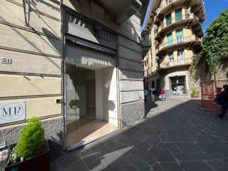 Zona