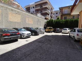 Zona