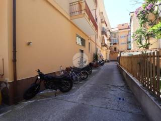 Zona