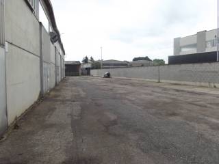 Zona