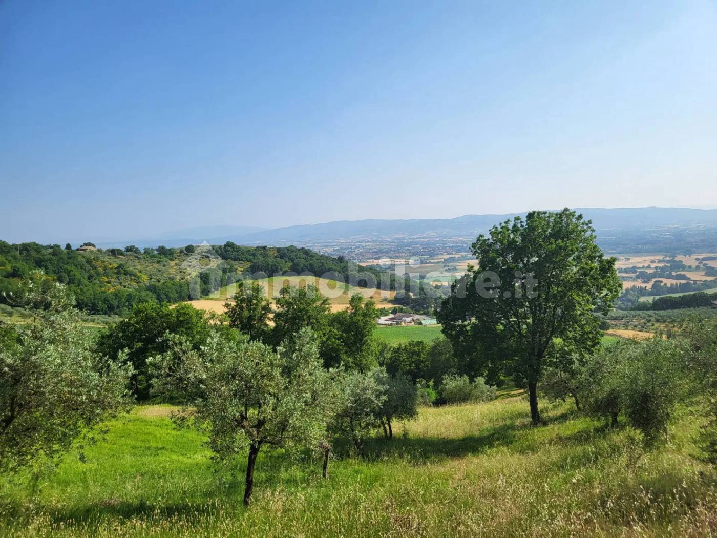 Rustico - Casale in vendita a Assisi