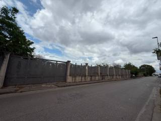 Zona