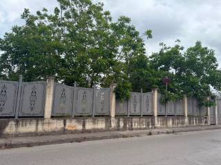 Zona