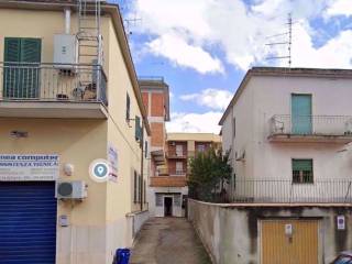 Zona