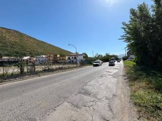 Zona
