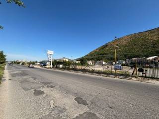 Zona