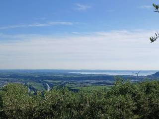 Vista