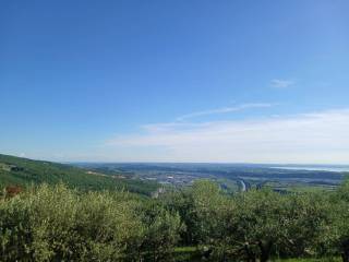 Vista