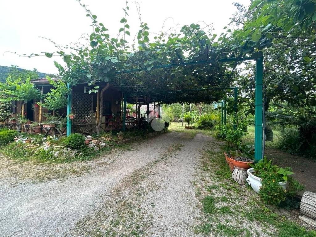 Giardino
