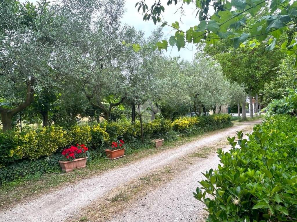 Giardino